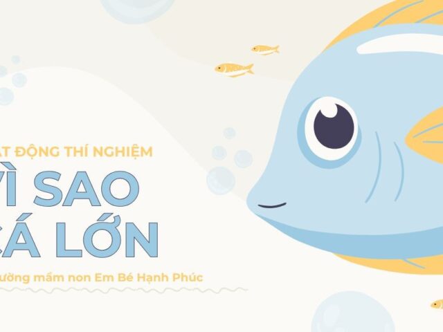 hoạt động thí nghiệm